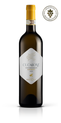 mini-cucaione-vermentino-di-gallura-superiore-mancini